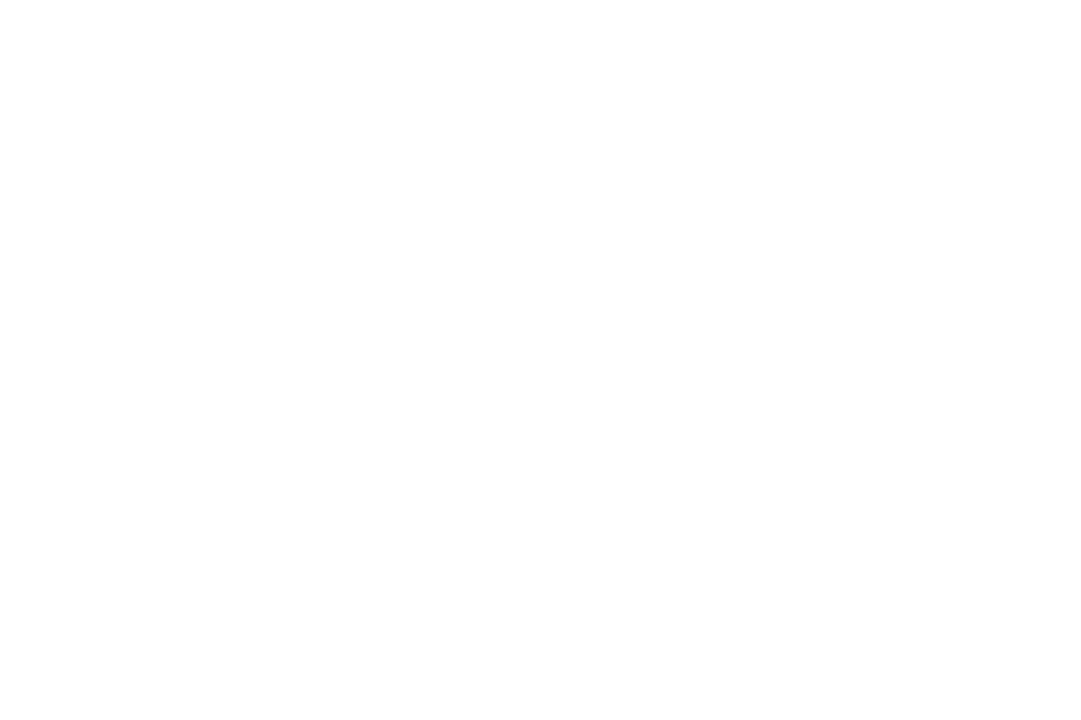 Logo Pulze